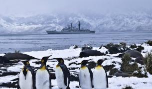 Перверзиите на пингвините - заради студа