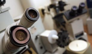 Летният грип дошъл по-рано