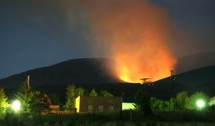 Нито декар засегната жива гора на Витоша