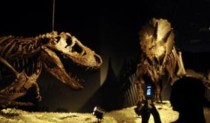 Намериха кратера от метеорита, убил динозаврите