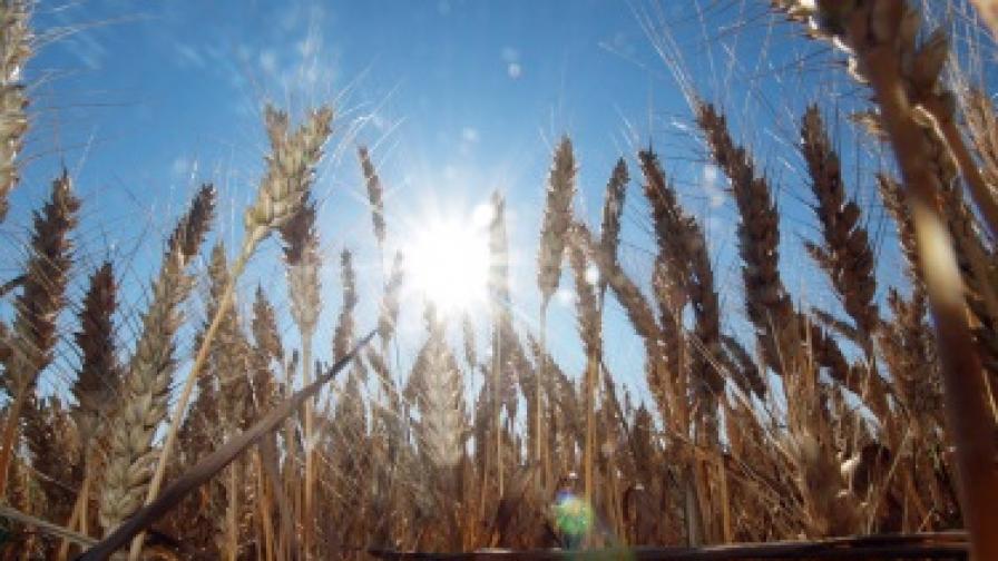 <p>Нови решения по&nbsp;сделката за износ на зърно от Украйна</p>