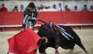 Коридата - изкуство или кърваво мъчение?