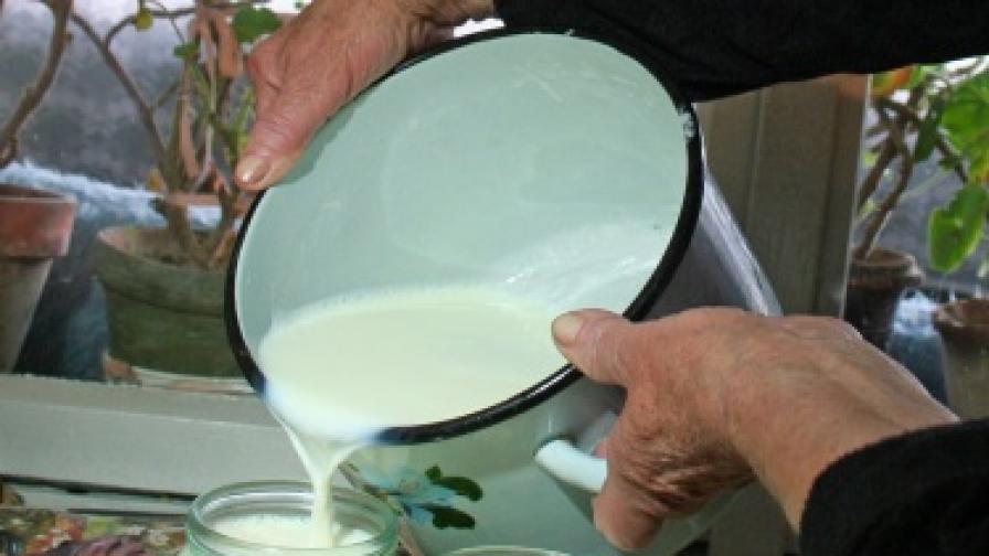 Карантина за млякото от ловешки села заради афлатоксин