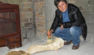 Раменната кост на мамут е била запазена в нанос от баластра и льос