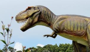 Вкусът на динозаврите: На говеждо, пилешко или мърша