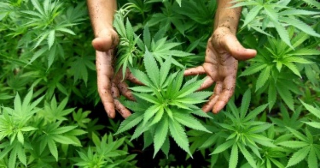 Точно подминавахме сергията с тютюн когато видяхме че една от