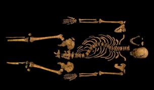 Учени доказаха, че са намерили крал Ричард III