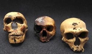 Очите на неандерталците са причина за изчезването им