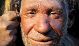 Какво е помогнало за еволюцията на човешката ръка?