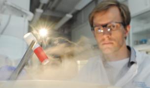 Учени откриха метод за терапевтично клониране