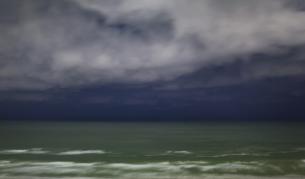 Откриха древна гора под водата в Мексиканския залив