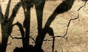 Глобалното затопляне ще увеличи световните конфликти