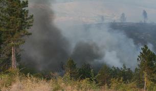 Потушени са пожарите край Ивайловград и Елхово