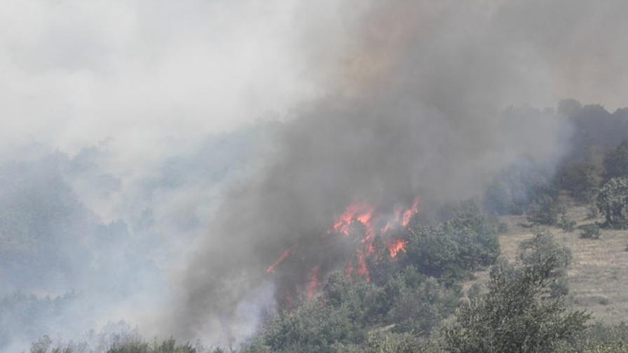 Гасят горски пожари край Елхово и Средец