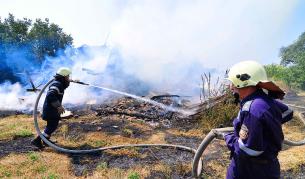 Горски служители гасят 1500 декара пожар край Елхово