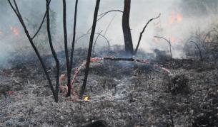 Нови 2 хил. декара гори горят край Свиленград