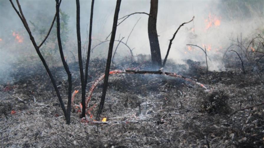 Нови 2 хил. декара гори горят край Свиленград