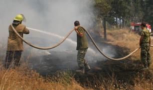 Пожари избухнаха край Варна и Ямбол