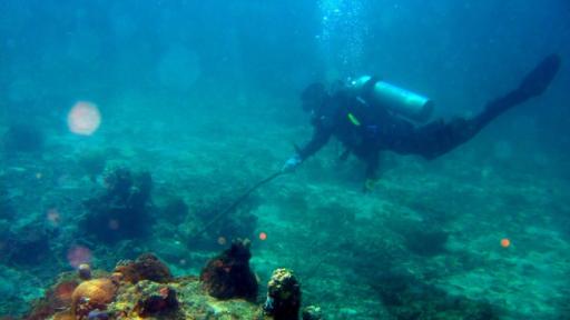  Снимката е илюстативна 