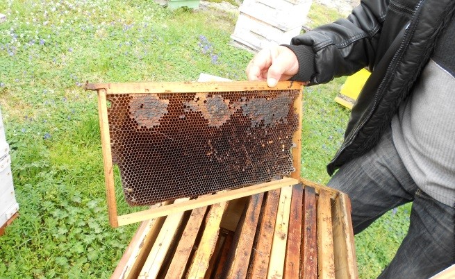 Пчелари изляха манов мед на улицата в Царево