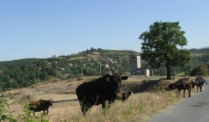 Само европейци ще могат да купуват земя в България