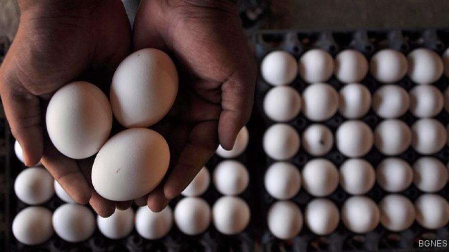 Яйцата могат да помогнат при рак на гърдата