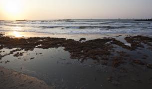 Под световния океан има големи запаси с питейна вода