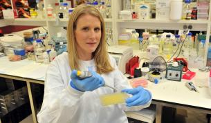 Какво постигна медицината през 2013 година