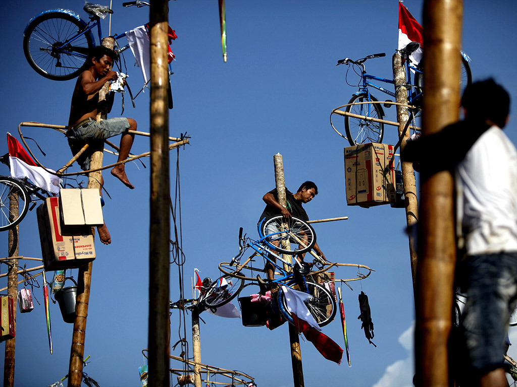 Индонезийски мъже участват в конкурс по катерене на палмово дърво, за да достигнат наградите на върха по време на празненствата по случай 68-ата годишнина от независимостта на Индонезия в Джакарта 17 Август 2013. Индонезия придоби независимост от Холандия през 1945 г.