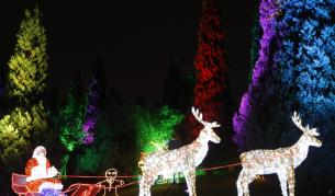 Нова мода: Въоръжени дядомразовци обират бижута