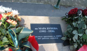 Сезират родни евродепутати за счупена плоча на М. Бунева